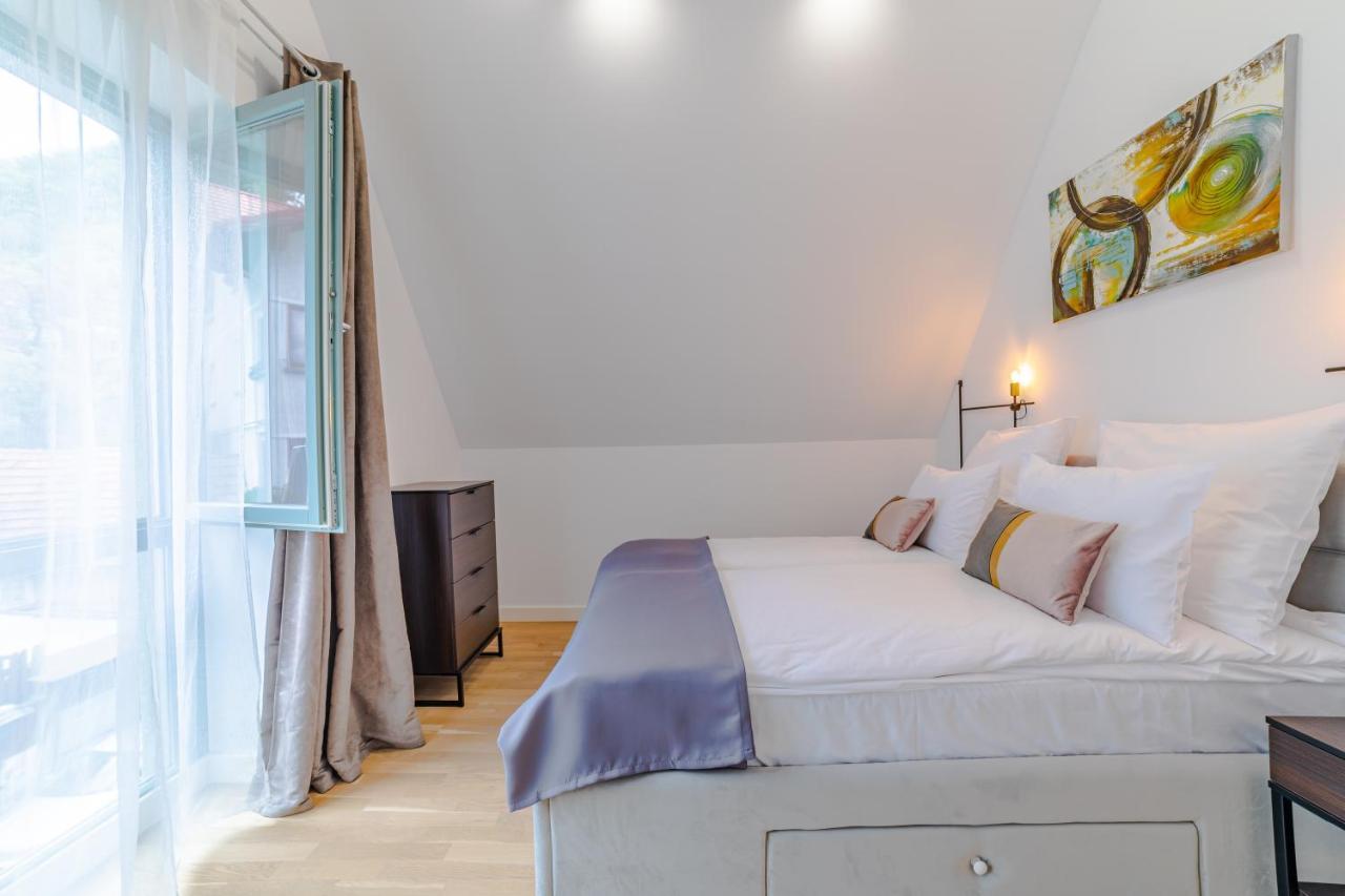 The Duplex - Brasov City Center